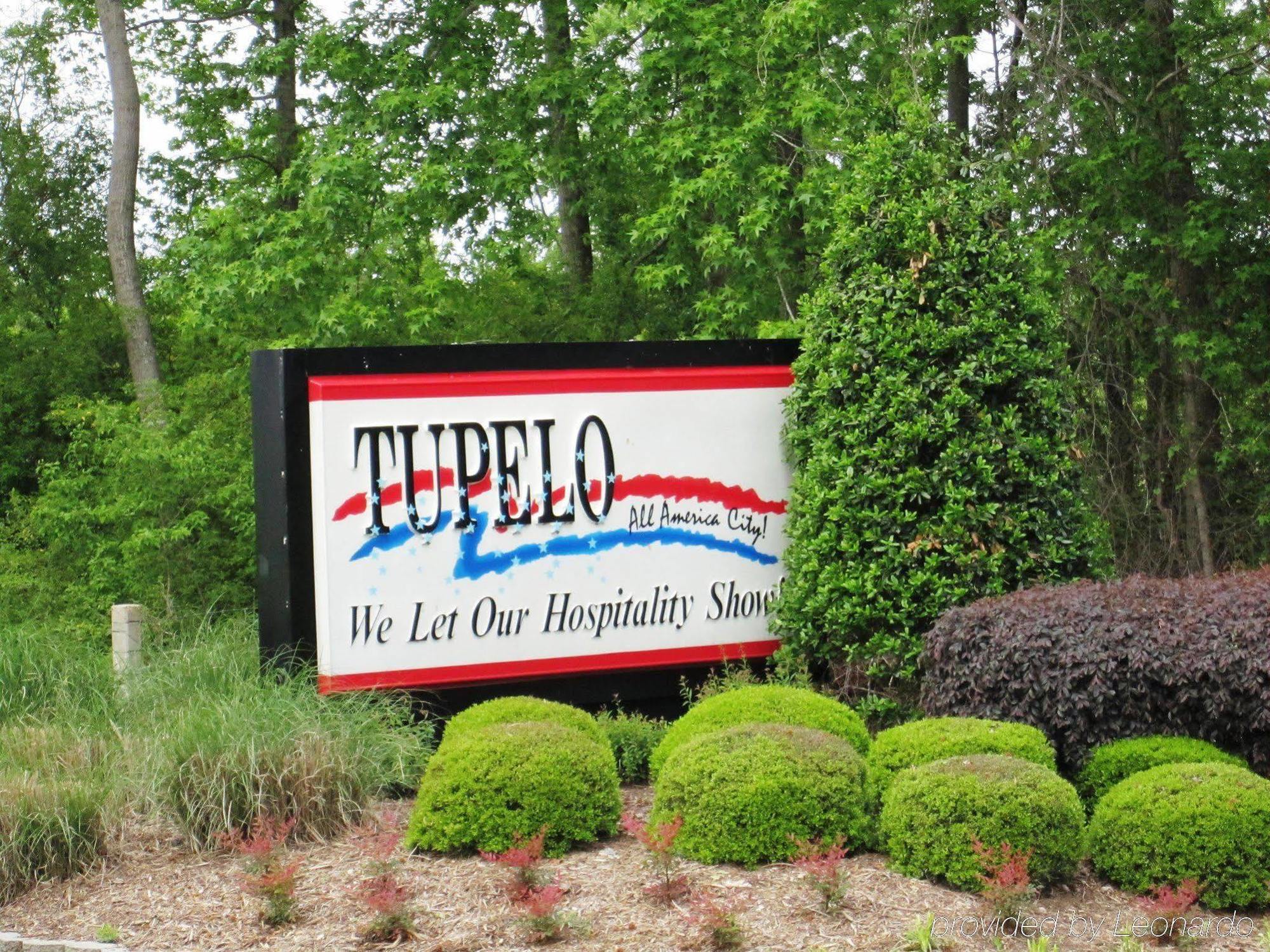 Hampton Inn & Suites Tupelo/Barnes Crossing Zewnętrze zdjęcie